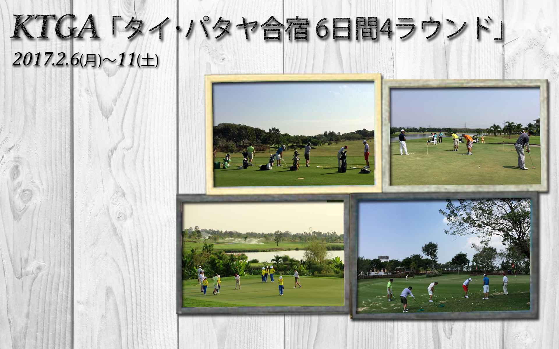 2017�^�C���h